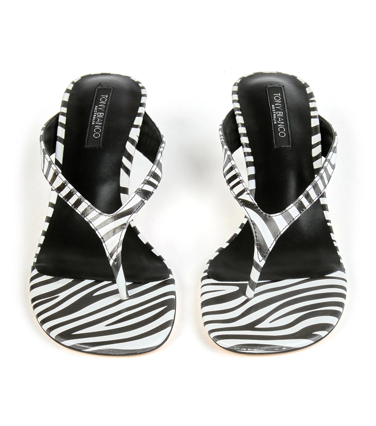 Krista - Zebra