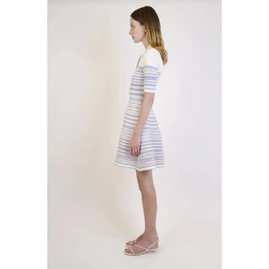 DESSIE MINI DRESS