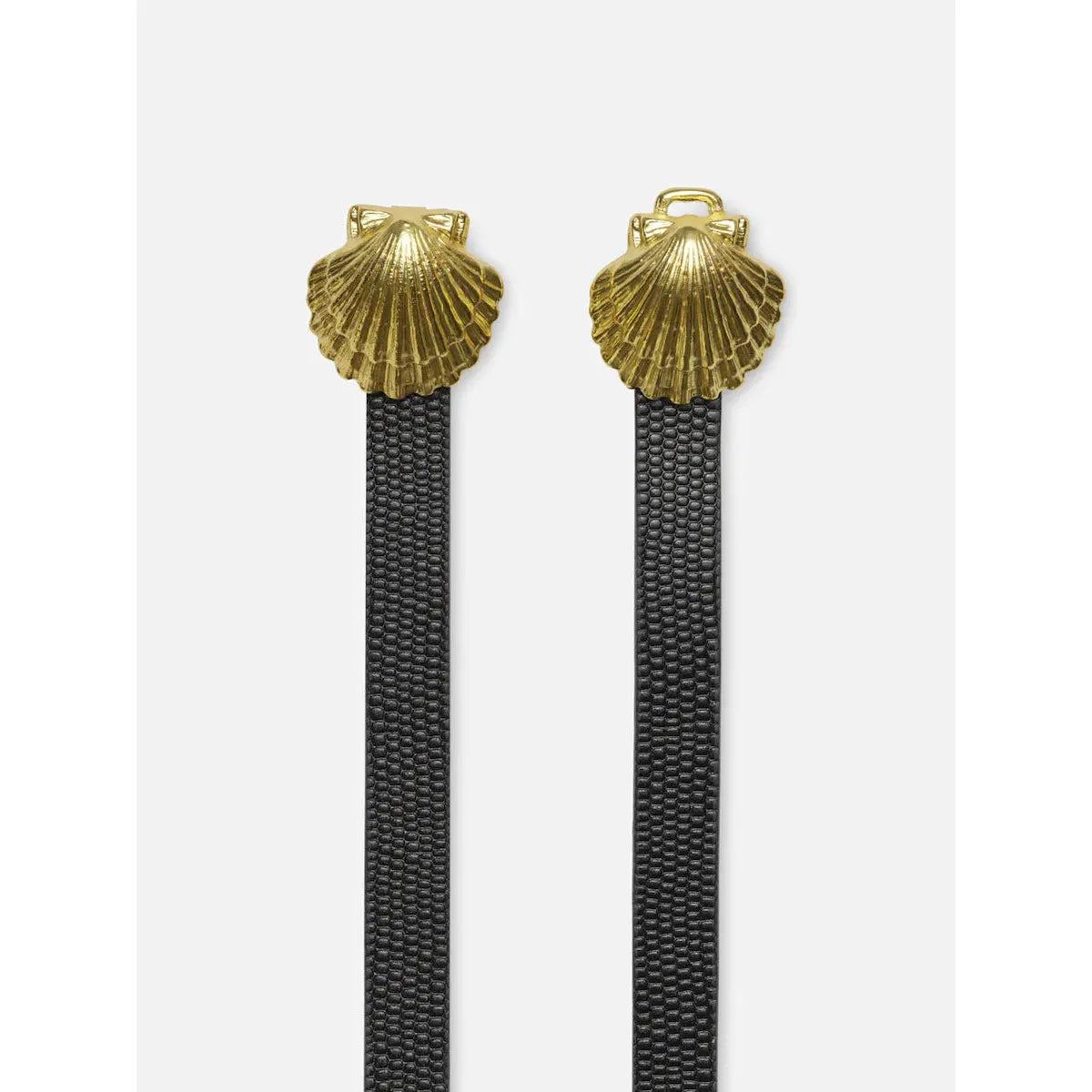 COQUILLAGE BELT